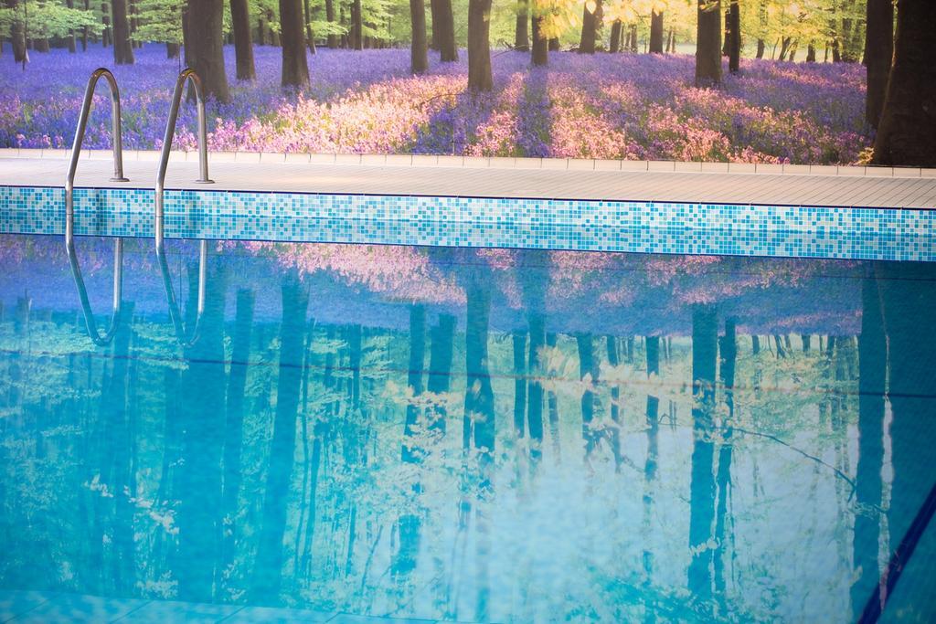 Forest Lodge Hotel Lyndhurst Bagian luar foto